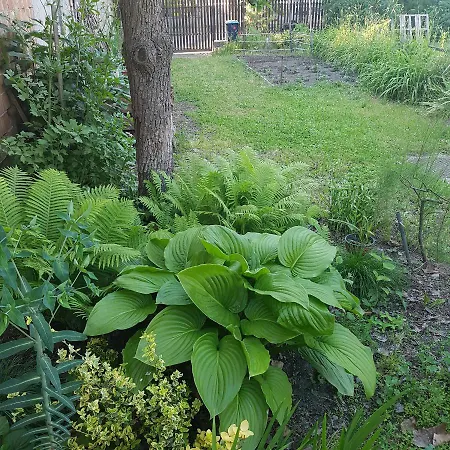 Apartmán Kossuth Lajos U. 176. *