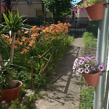 Kossuth Lajos U. 176. * بودابست