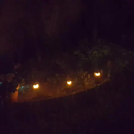 Kossuth Lajos U. 176. Lejlighed *