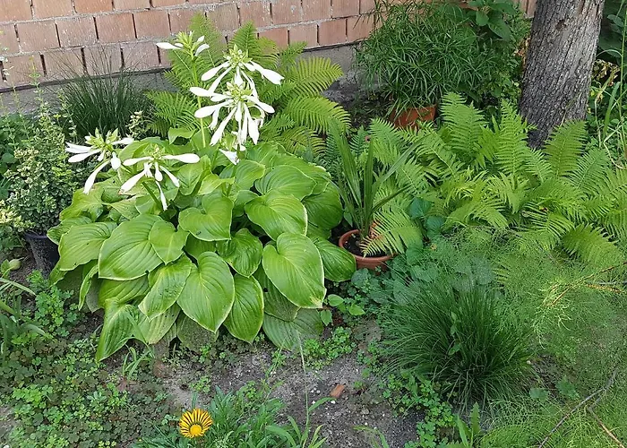 公寓 Kossuth Lajos U. 176.