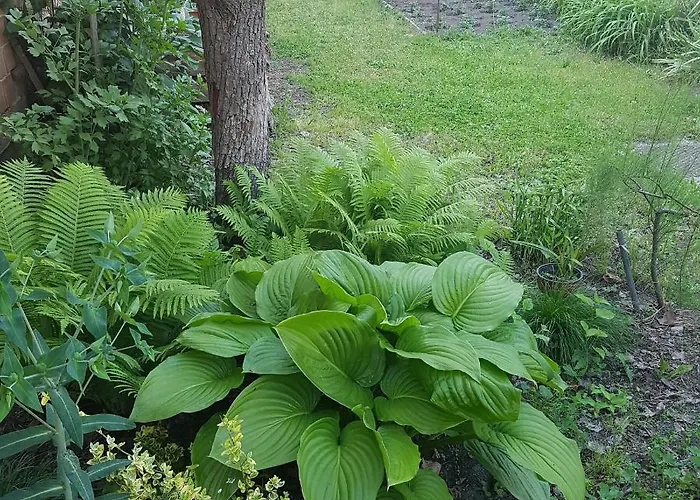 公寓 Kossuth Lajos U. 176. *