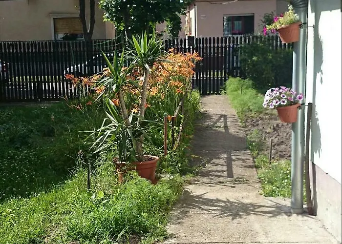 Kossuth Lajos U. 176. * 布达佩斯