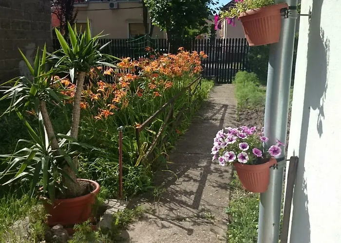 Kossuth Lajos U. 176. * Budapest